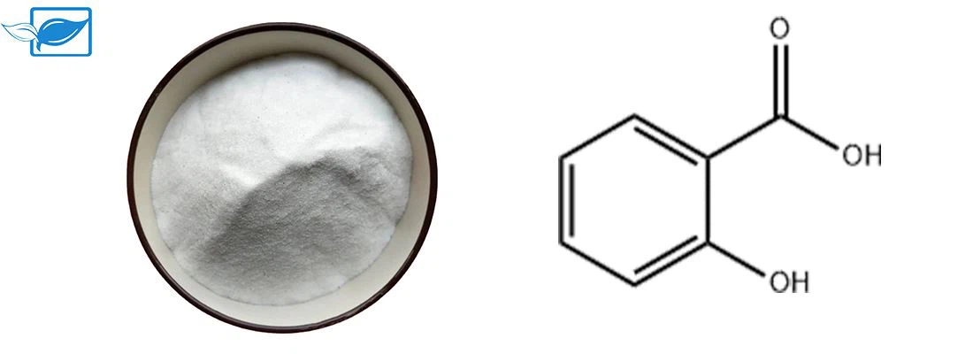 introduction of salicylic acid powder